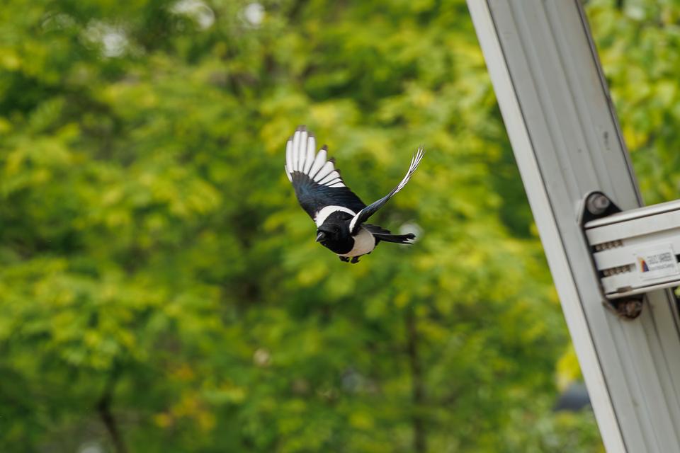 Natuur, foto Robèrt Kroonen