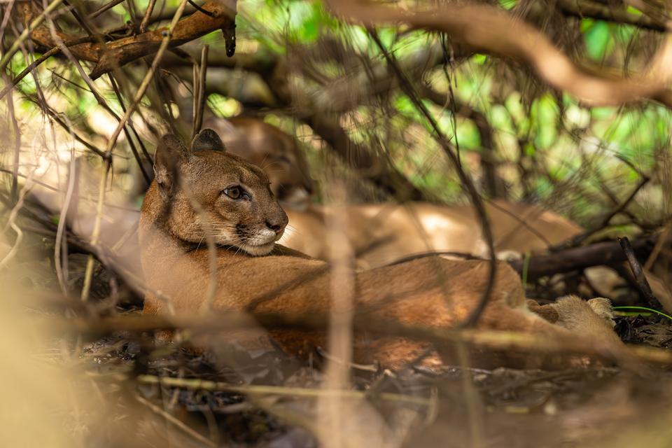 Natuur, foto Robèrt Kroonen