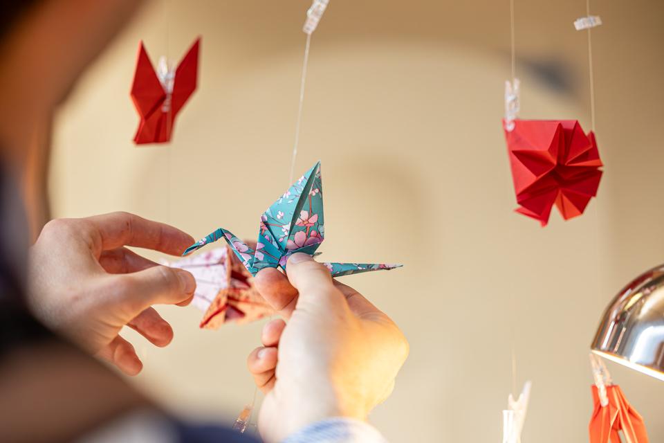 Origami, foto Robèrt Kroonen