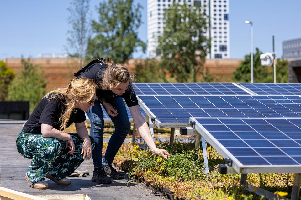 Zonnepanelen, The Green Village, foto Robèrt Kroonen